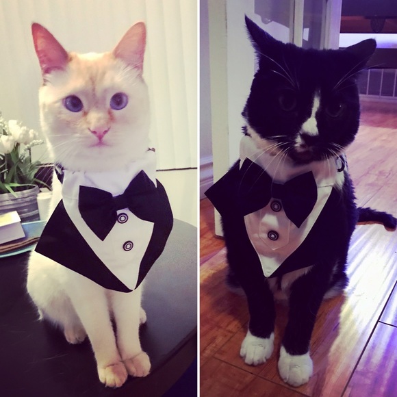 Here is my Posh story π€ππ€ππ€π - Picture 7 of 11